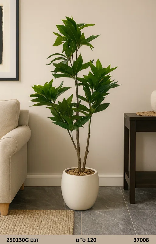 עץ פיקוס כולל אגרטל | גובה 120 ס"מ