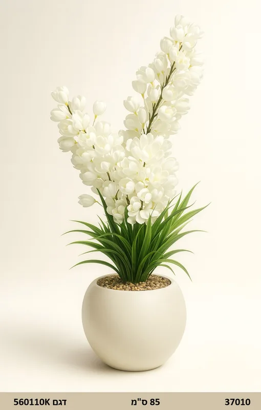 עציץ סחלבים | 85 ס"מ