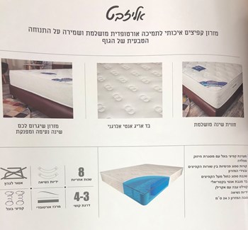 אליזבט מפרט