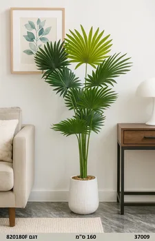 עץ דקל נוי | 160 ס"מ