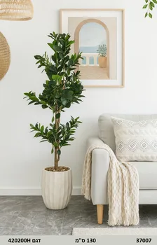 עציץ פיקוס | 130 ס"מ