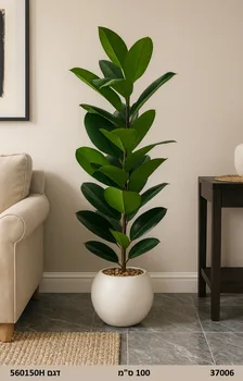 עציץ מרגליות | 100 ס"מ