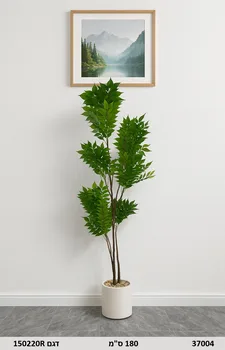 עציץ ירושלמי ירוק עד | 180 ס"מ