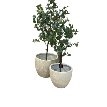 עציץ בכד | דגם סלע